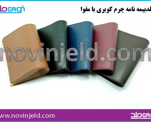 جلد بیمه چرم کویری