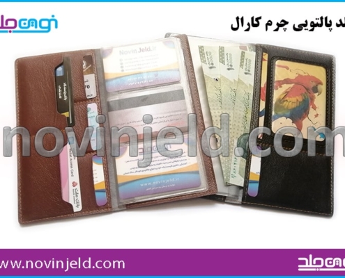 جلد پالتویی